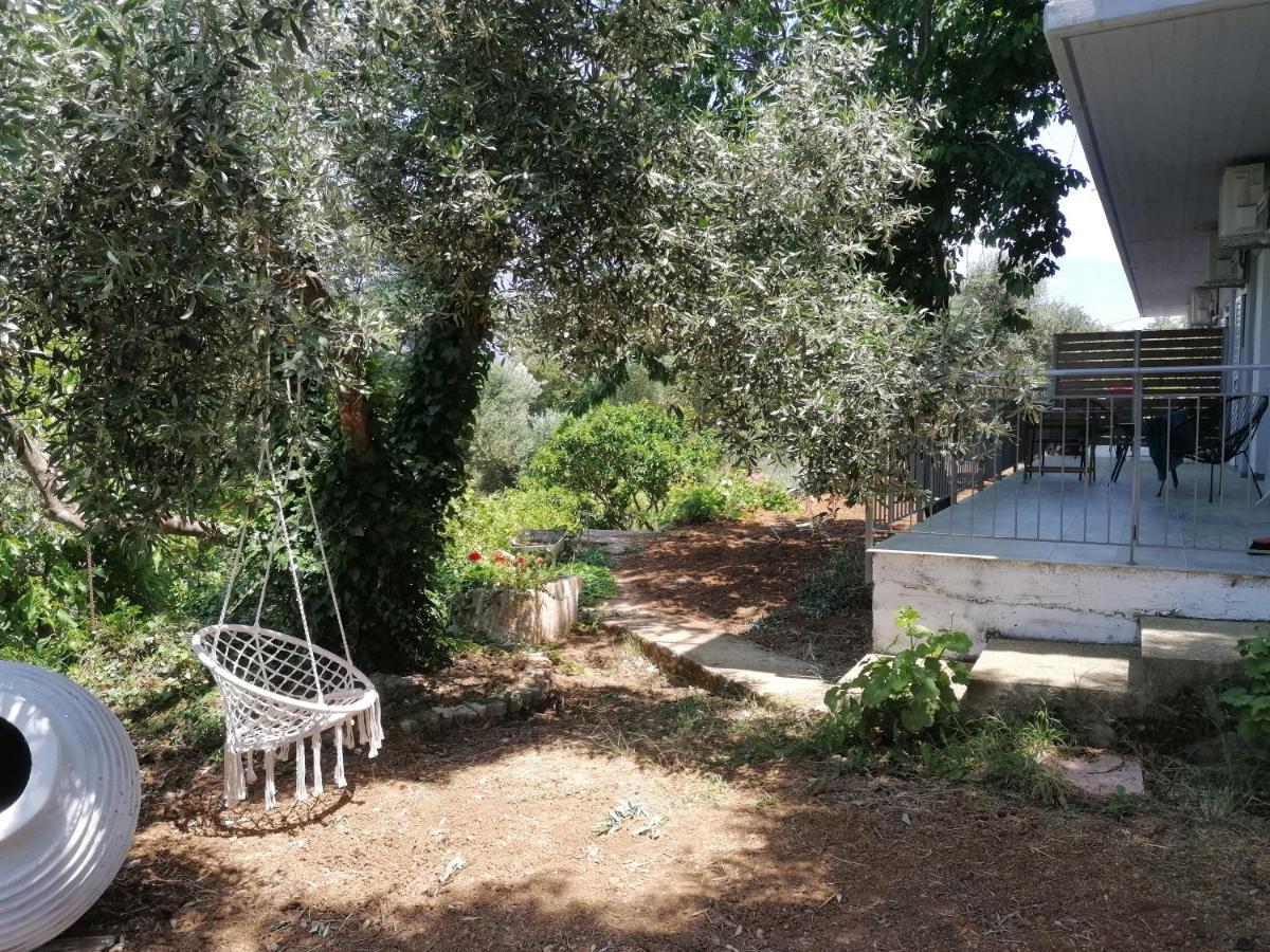 Alexander Apartments Spartia (Kefalonia) Exterior foto