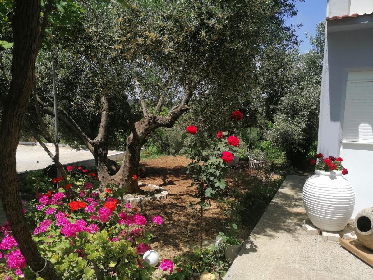 Alexander Apartments Spartia (Kefalonia) Exterior foto