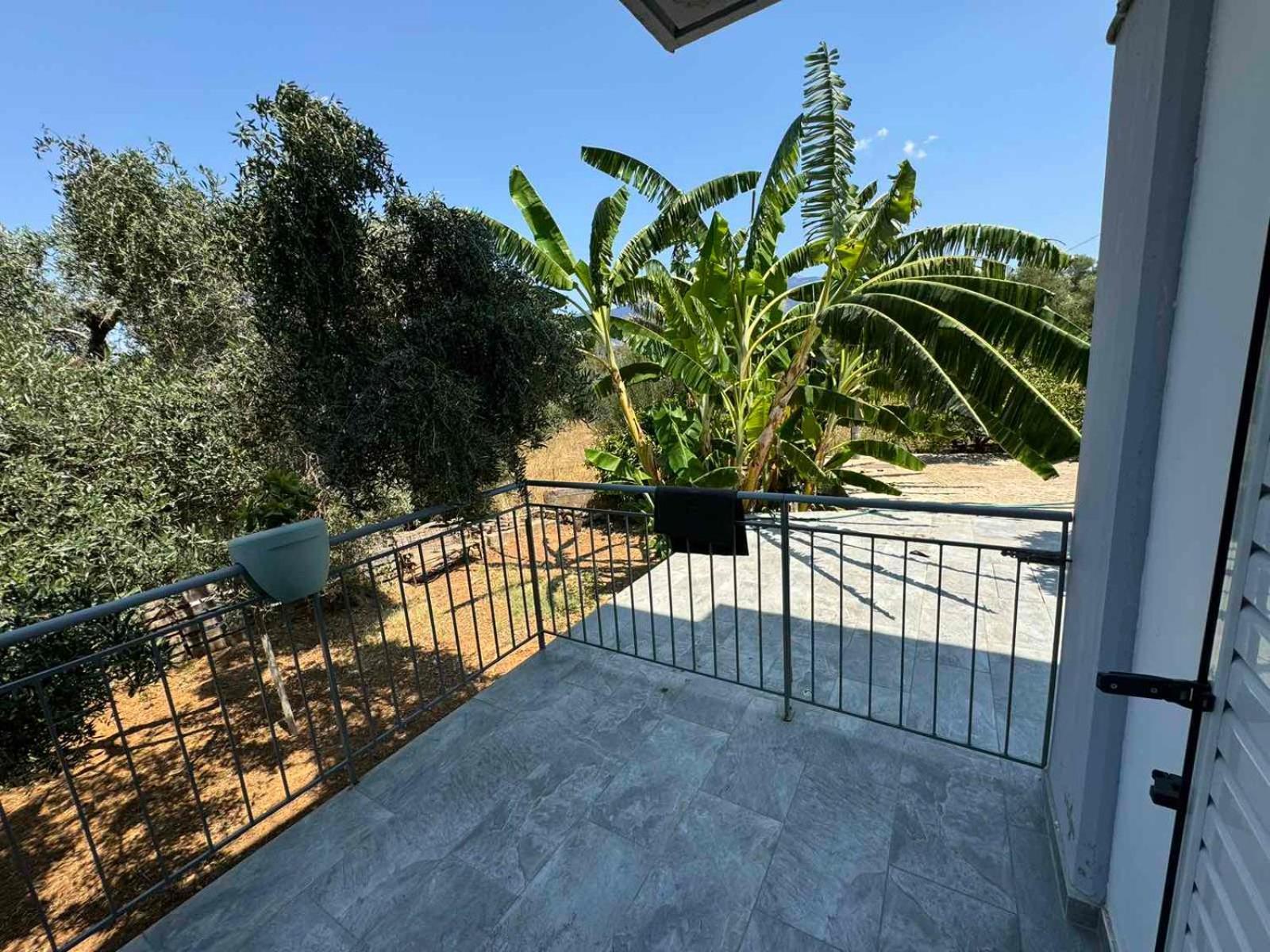 Alexander Apartments Spartia (Kefalonia) Exterior foto